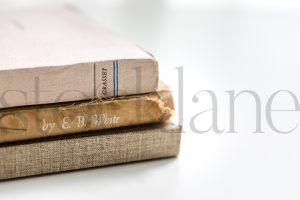 Horizontal stock photo of books