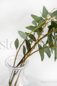 Vertical stock photo of flowers in vase