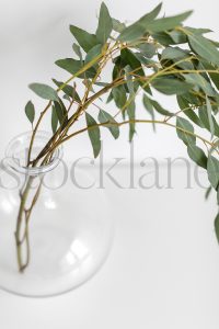 Vertical stock photo of flowers in vase