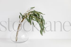 Horizontal stock photo of flowers in vase