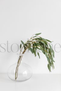 Vertical stock photo of flowers in vase