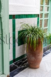 Vertical Stock photo of a Moroccan vase with plant