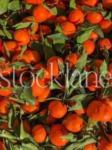 Vertical Stock photo of oranges