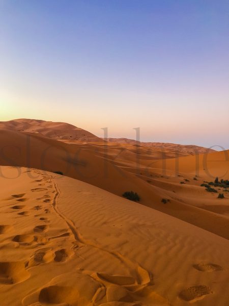 Vertical stock photo of desert sunrise