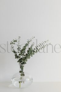Vertical stock photo of eucalyptus in vase