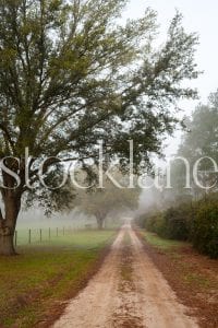 Vertical stock photo of rural road