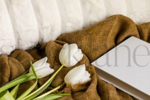 Horizontal stock photo of tulips and book
