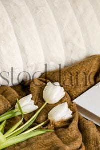 Vertical Stock photo of tulips and a book