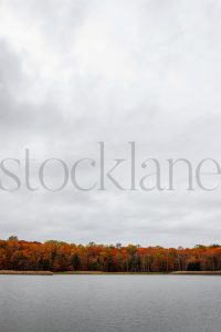 Vertical stock photo of fall on a river