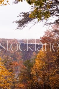 Vertical stock photo of fall and bridge