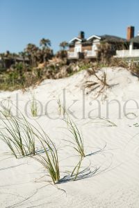 Vertical Stock photo of beach dunes