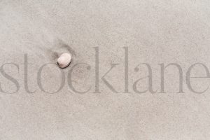 Horizontal stock photo of sand and shell