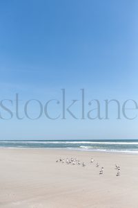 Vertical Stock photo of the beach