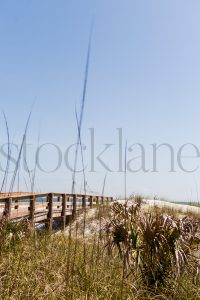 Vertical Stock photo of the beach