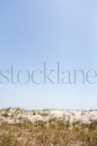 Vertical Stock photo of the beach