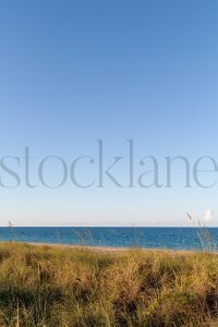Vertical Stock photo of the beach