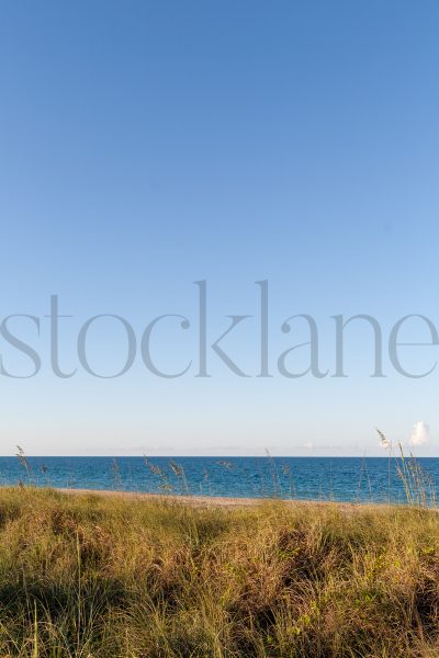 Vertical Stock photo of the beach