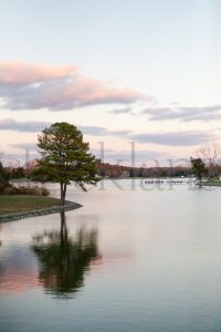 Vertical Stock Photo of a lake
