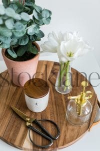 Vertical stock photo of potted plant and tulips
