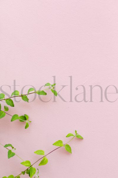 Vertical stock photo of pink wall