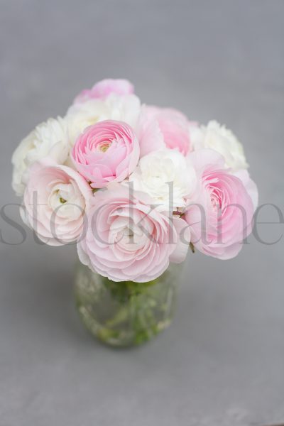 Vertical stock photo of ranunculus