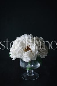 Vertical stock photo of white flowers in black background