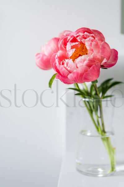 Vertical photo of peonies in a vase