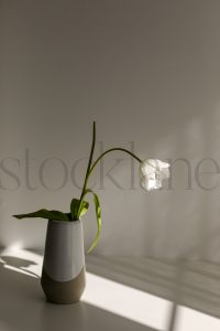 Vertical stock photo of flower and vase