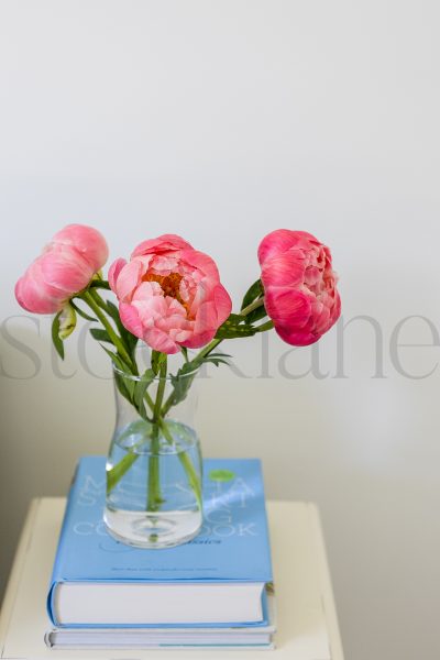 Vertical Stock photo of Peonies and vase