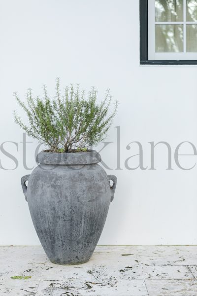 Vertical Stock photo of planters