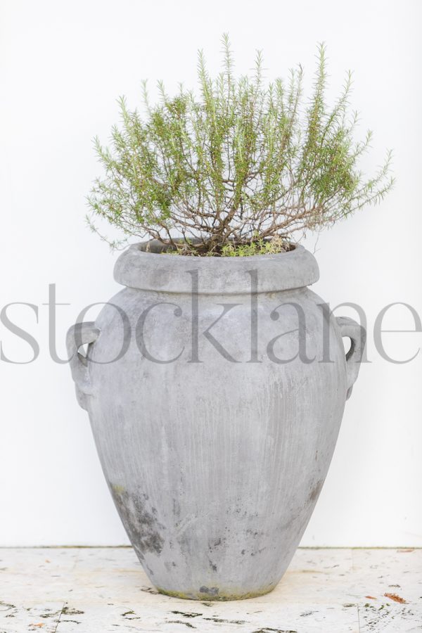 Vertical Stock photo of planters