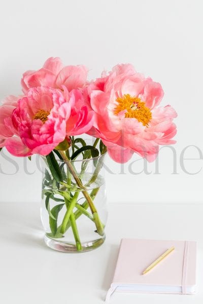 Vertical stock photo of peonies