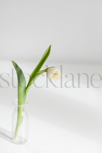 Vertical stock photo of flower