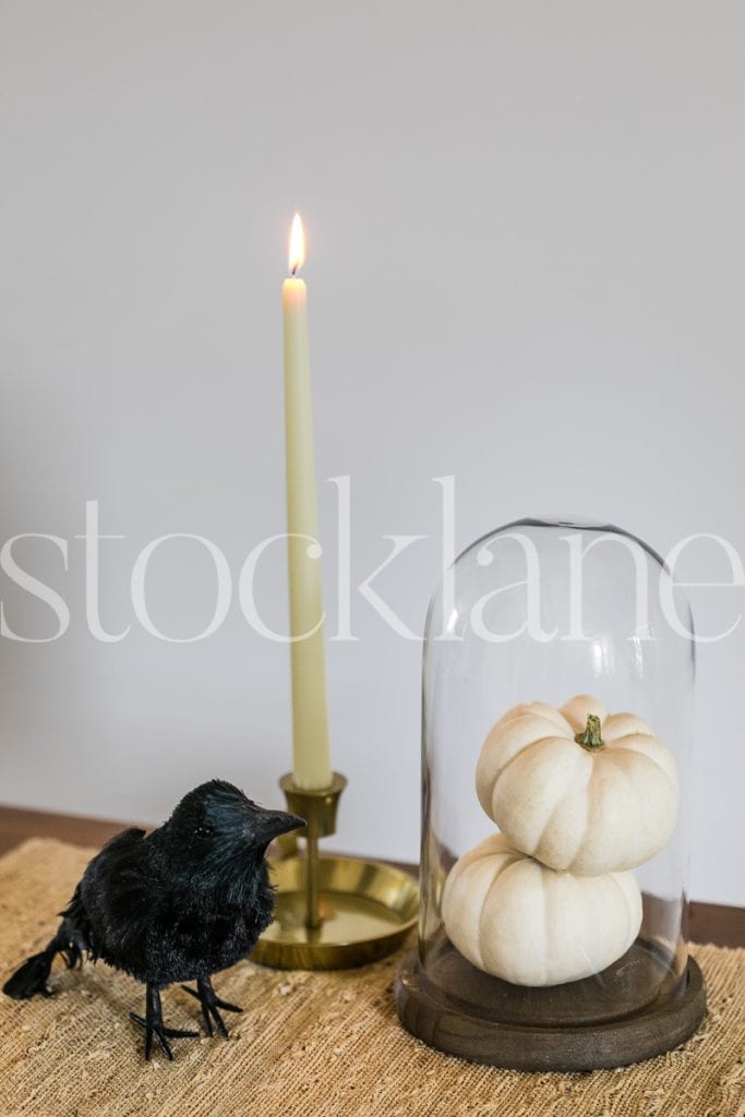 Vertical stock photo of pumpkins and crow