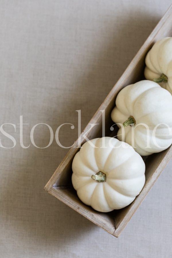 Vertical stock photo of white pumpkins