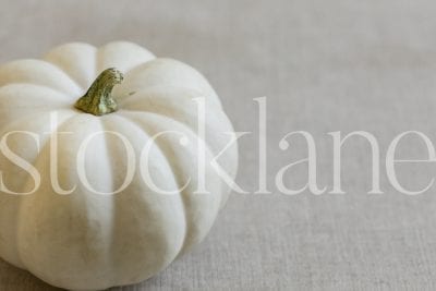 Horizontal stock photo of white pumpkins