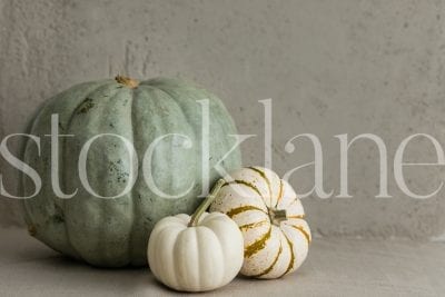 Horizontal stock photo of group of fantasy pumpkins