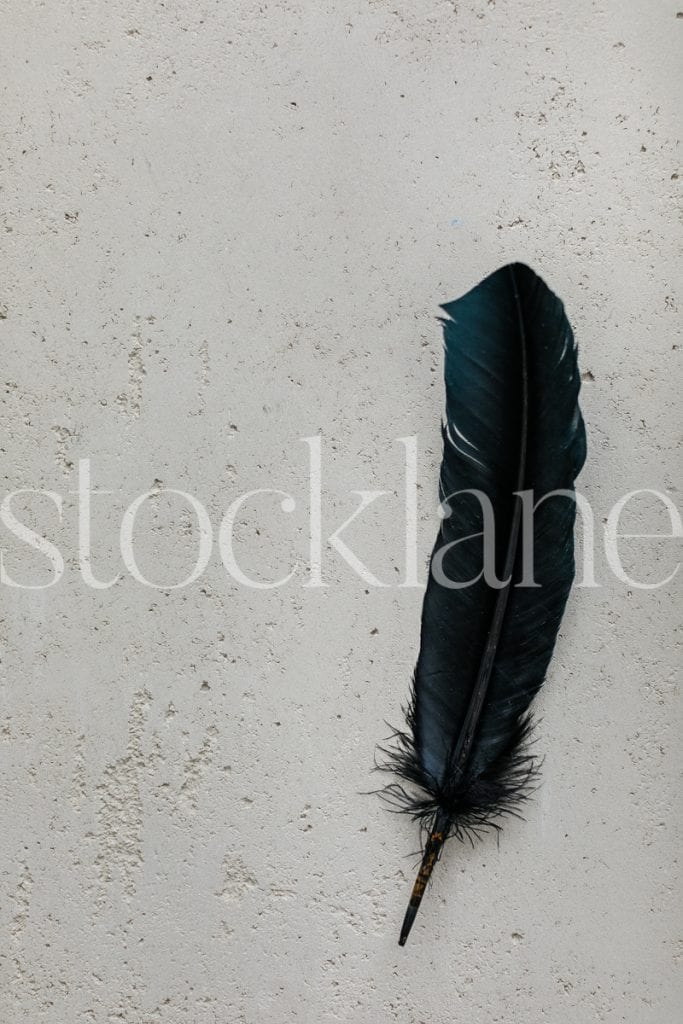Vertical stock photo of black feather