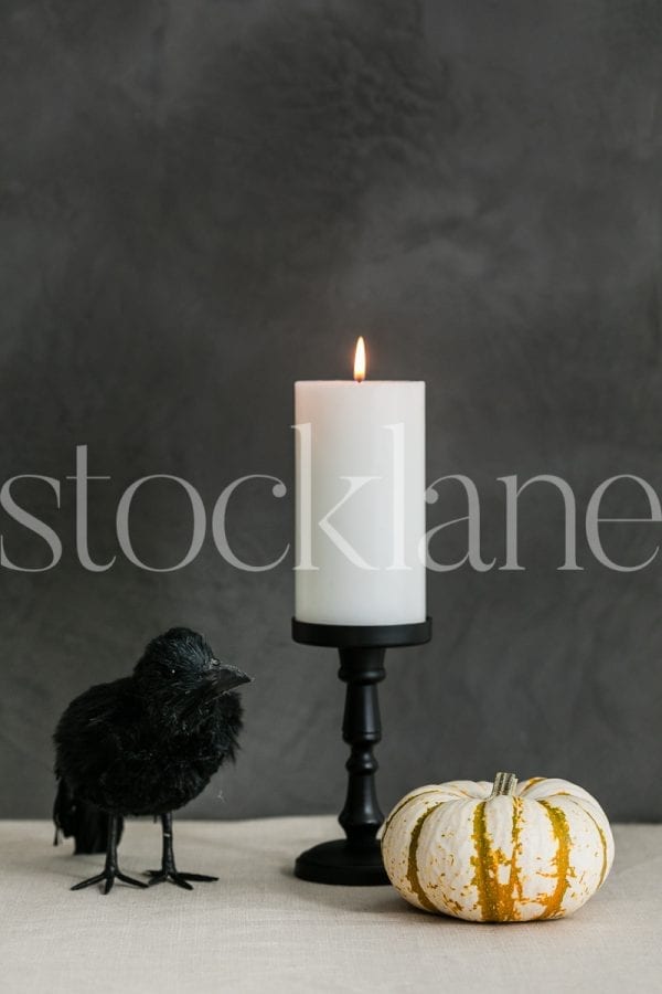 Vertical Halloween stock photo of white candle, white pumpkin and crow