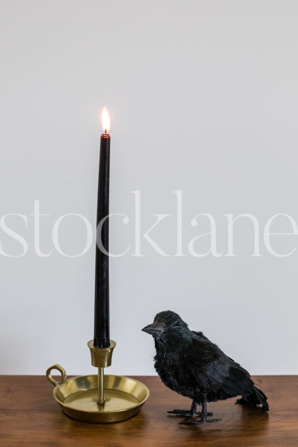 Vertical stock photo of black candle and crow