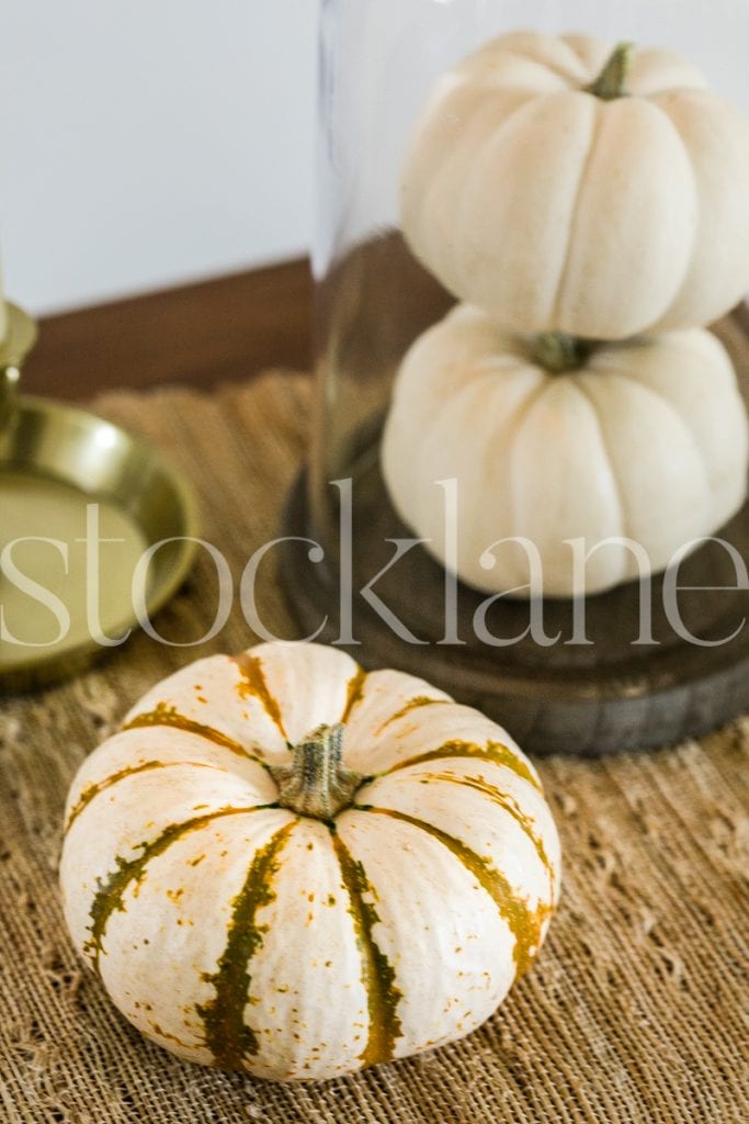 Vertical stock photo of pumpkins