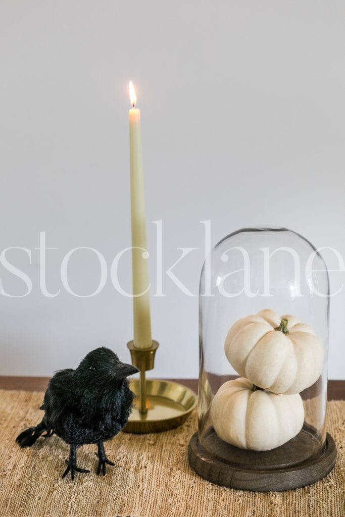 Vertical stock photo of pumpkins and crow