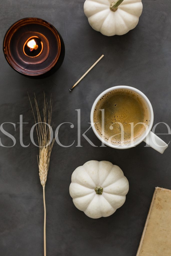 Fall and Thanksgiving photo available at Stocklane.co