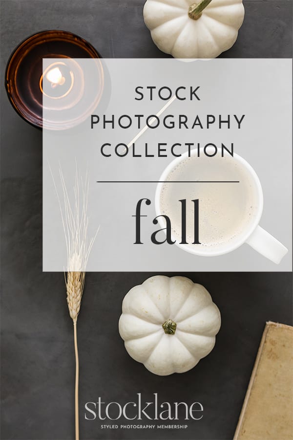 Fall photo sample from Stocklane.co