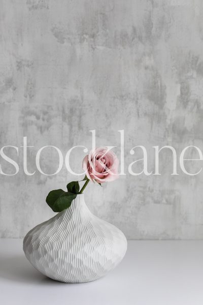 Vertical stock photo of pink rose in white vase