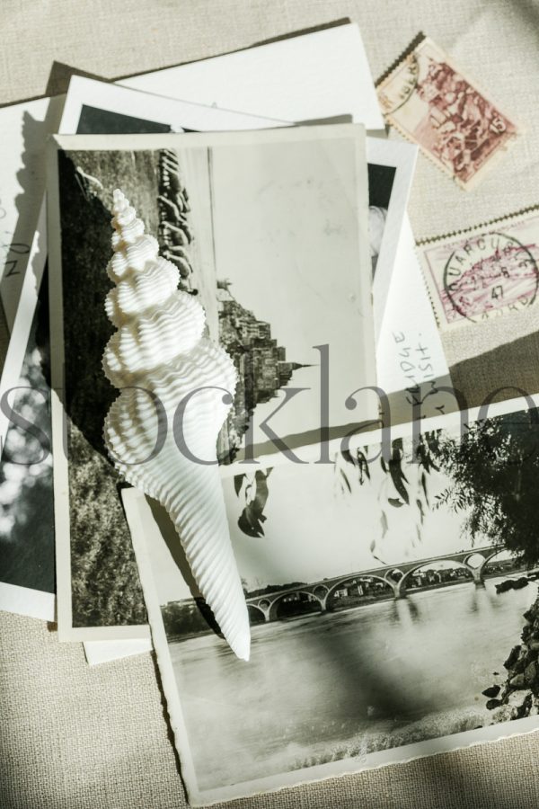 Vertical stock photo of vintage postcards and seashells