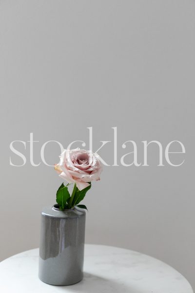 Vertical stock photo of pink rose on gray vase