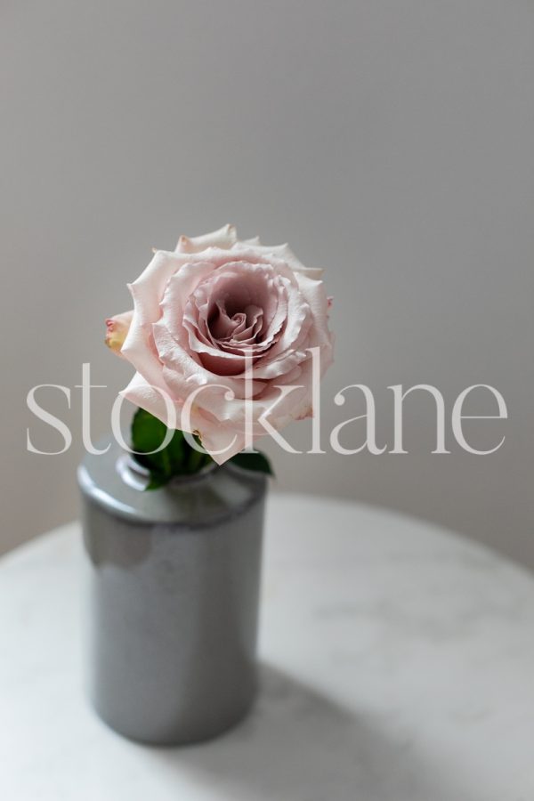 Vertical stock photo of pink rose on a gray vase