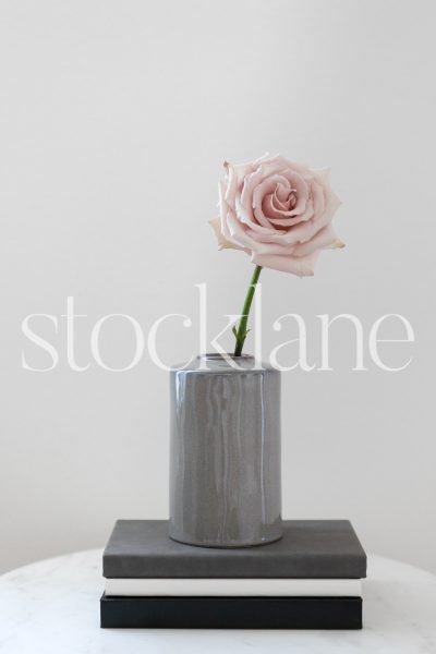 Vertical stock photo of pink rose on gray vase