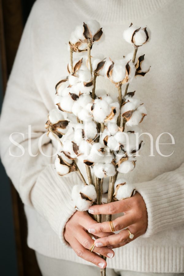 Vertical stock photo of a woman holding a cotton branch.